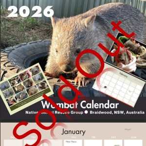 Native Animal Rescue Group - Wombat Calendar
