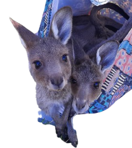 Native Animal Rescue Group (NARG)Incorporated logo